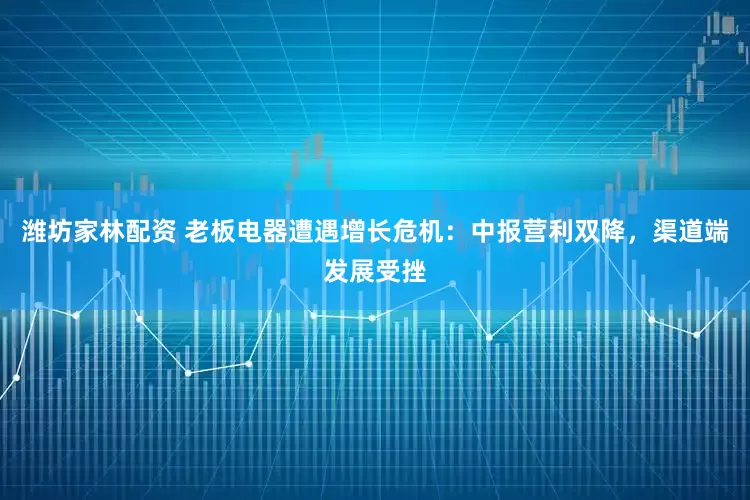 潍坊家林配资 老板电器遭遇增长危机：中报营利双降，渠道端发展受挫