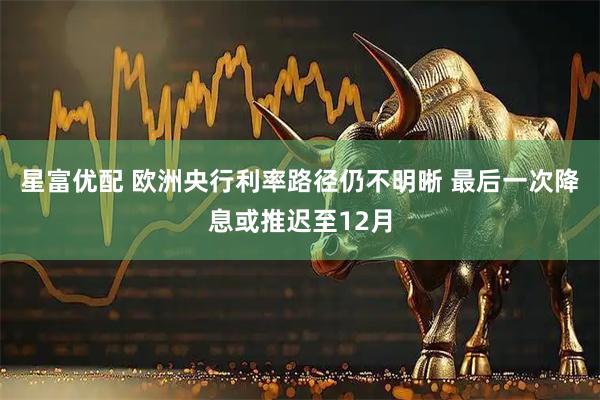 星富优配 欧洲央行利率路径仍不明晰 最后一次降息或推迟至12月